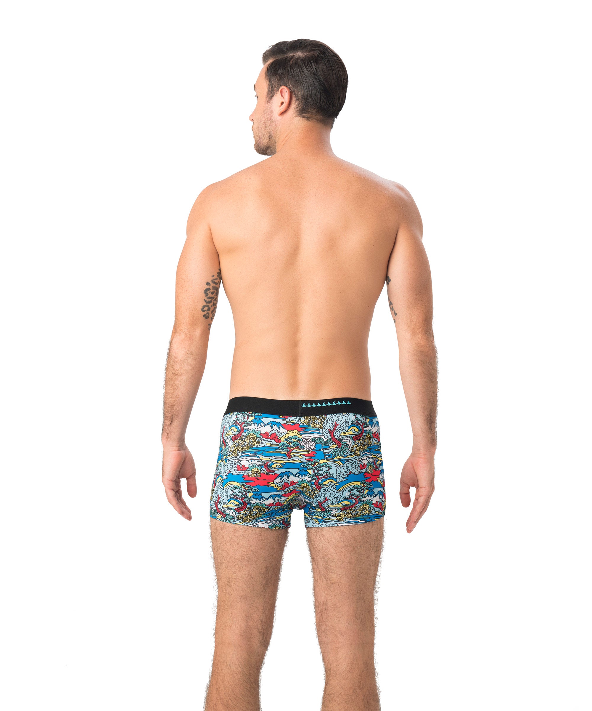 MEN JAPANESE VIEW MASON POLYESTER HIP BOXER
