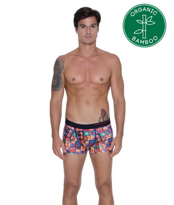 MEN WEIRD BLOCK BAMBOO MASON HIP BOXER